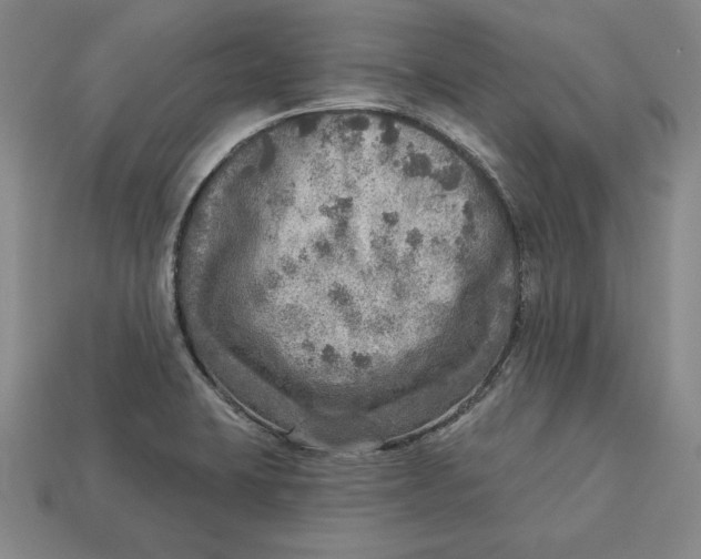 X0000112761423200909101521