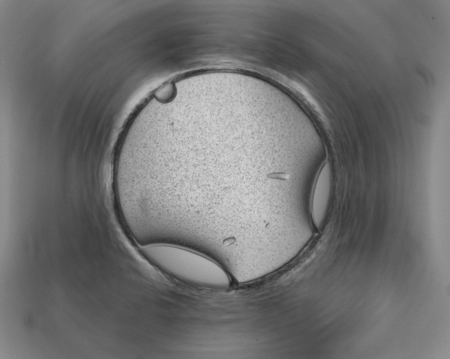 X0000112761424200909101521