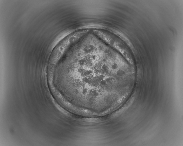 X0000112761425200909101521