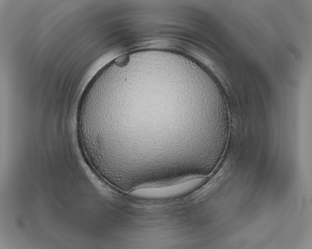 X0000112761426200909101521