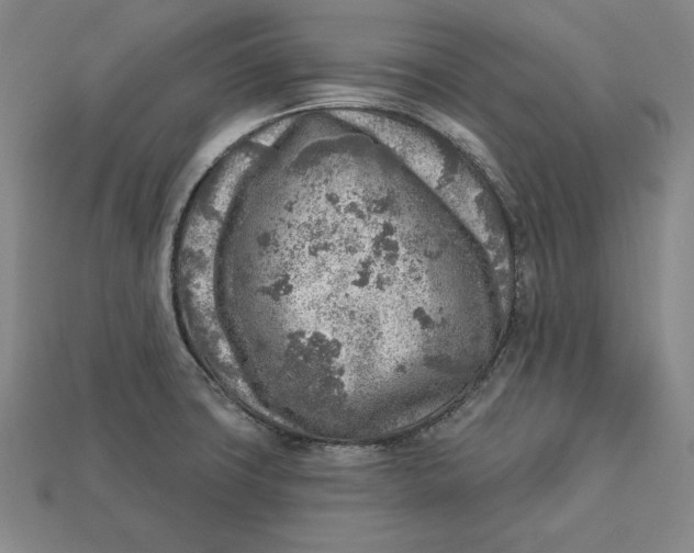 X0000112761427200909101521