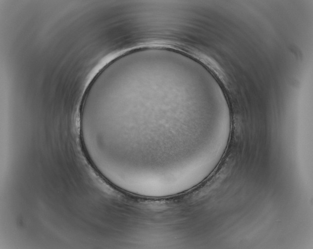 X0000112761428200909101521