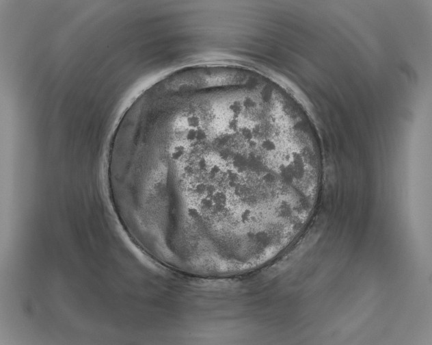 X0000112761429200909101521