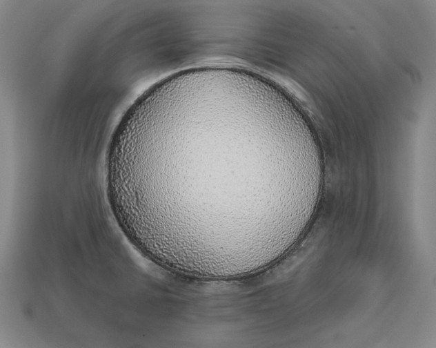 X0000112761430200909101521