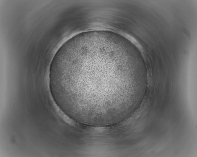 X0000112761431200909101521