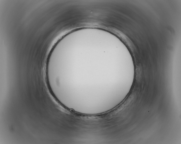 X0000112761432200909101521