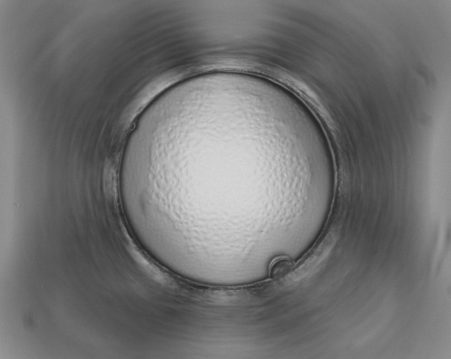 X0000112761433200909101521