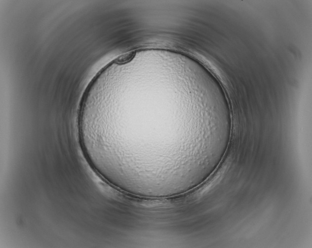 X0000112761434200909101521