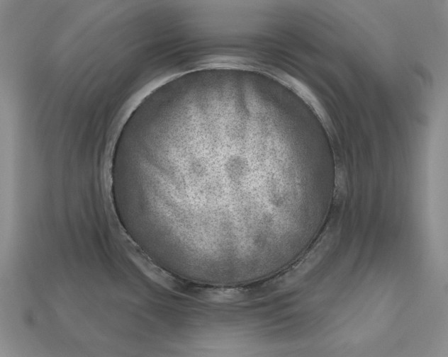 X0000112761435200909101521