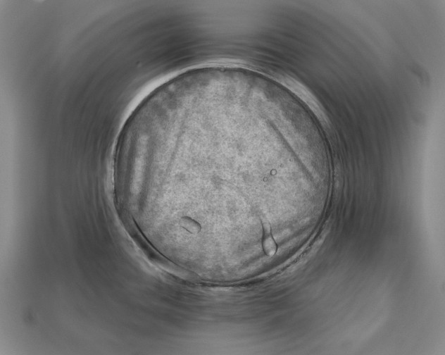 X0000112761436200909101521