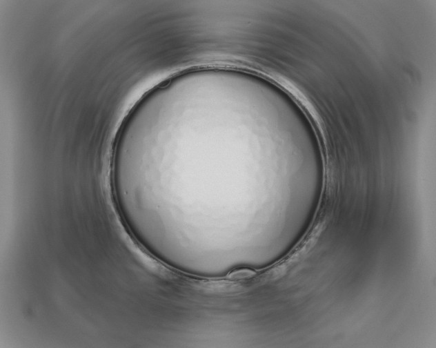 X0000112761437200909101521