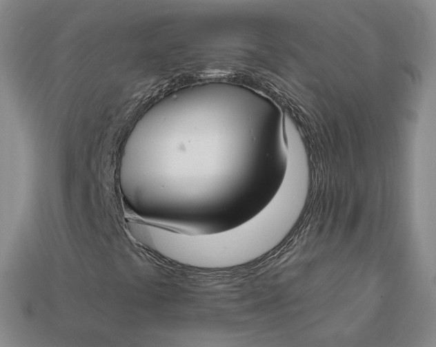X0000112761441200909101520