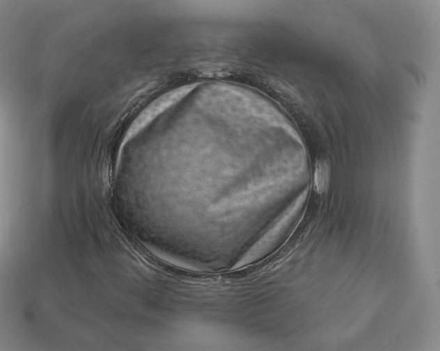 X0000112761444200909101520