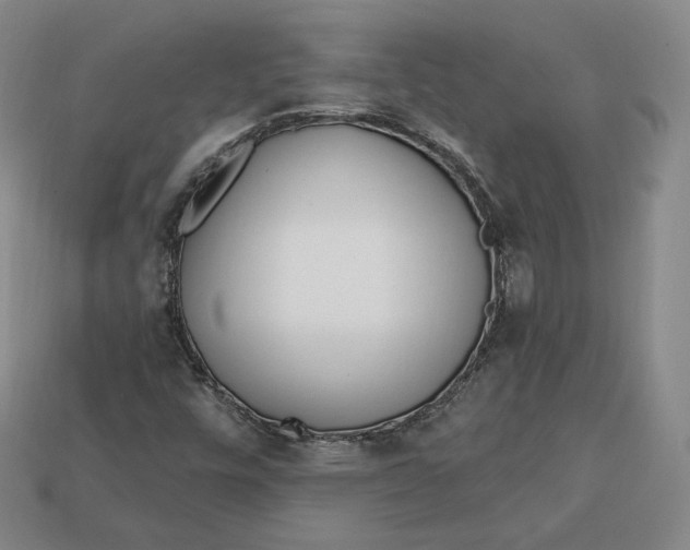 X0000112761448200909101520
