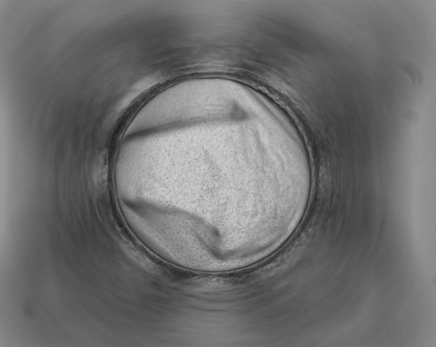 X0000112761450200909101520