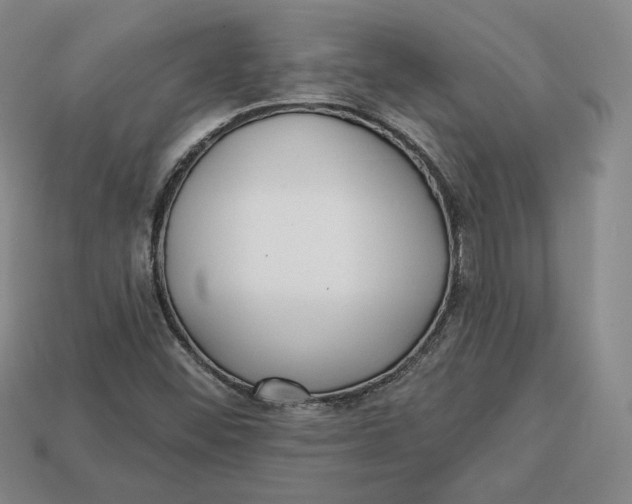 X0000112761452200909101520
