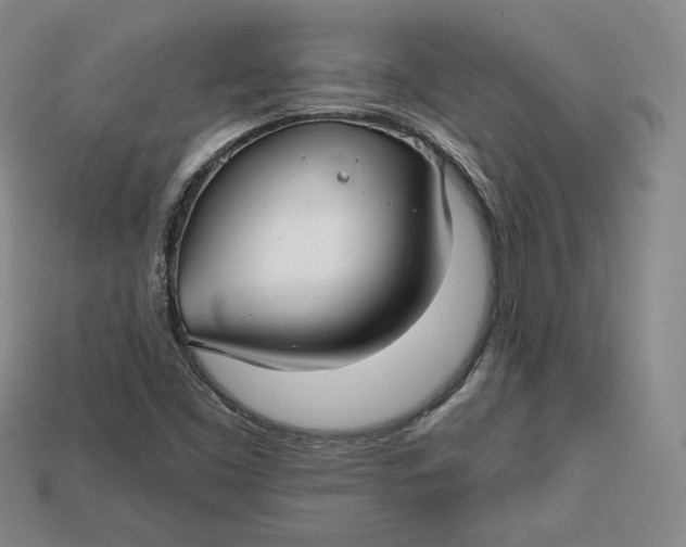 X0000112761453200909101520