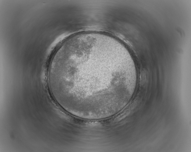 X0000112761454200909101520