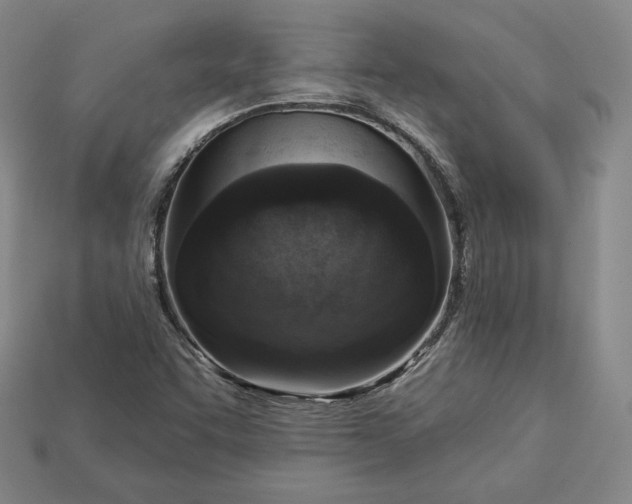 X0000112761455200909101520