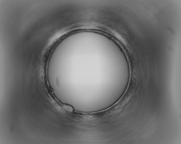X0000112761456200909101520