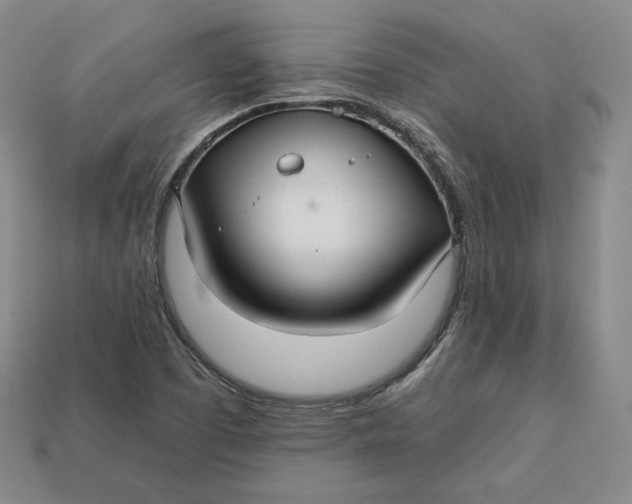 X0000112761457200909101520