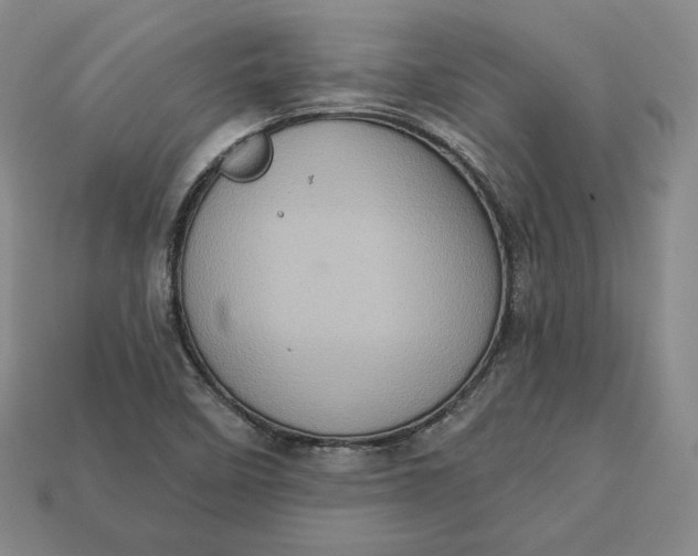 X0000112761458200909101520