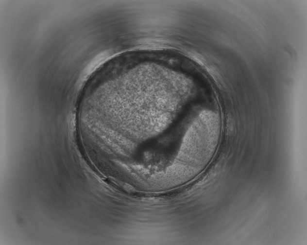 X0000112761459200909101520
