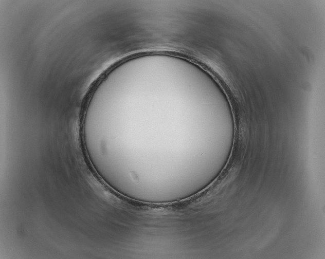 X0000112761460200909101520