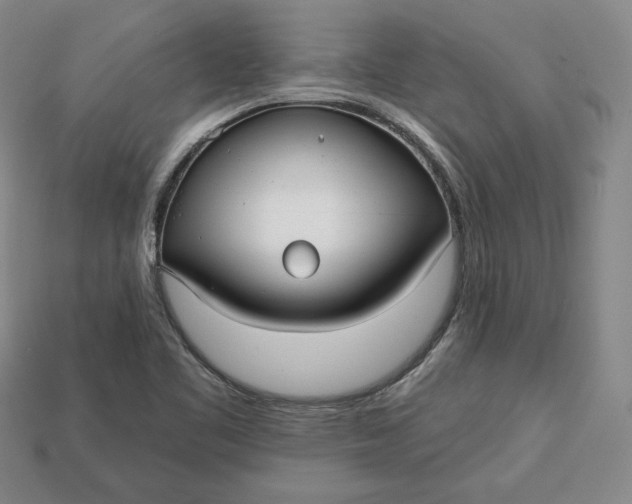 X0000112761461200909101520
