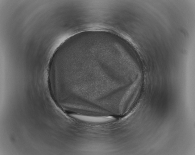 X0000112761463200909101520
