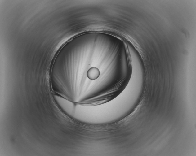 X0000112761465200909101520