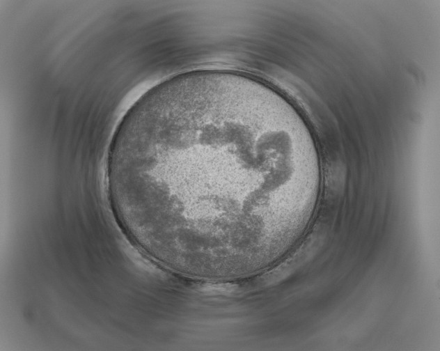 X0000112761466200909101520
