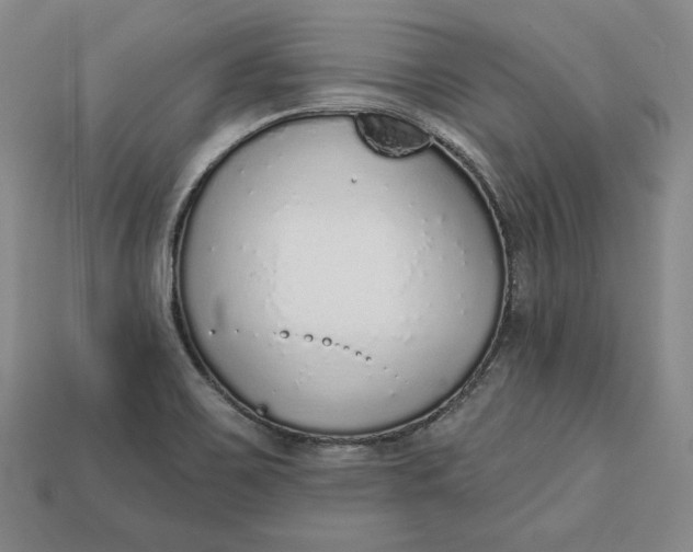 X0000112761467200909101520