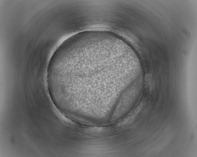 X0000112761470200909101520