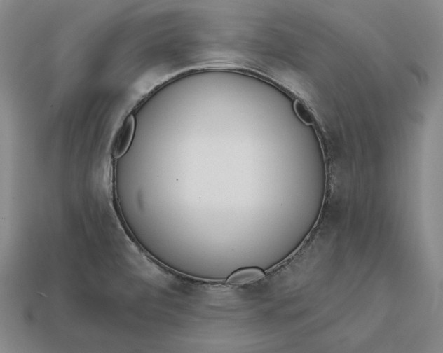 X0000112761472200909101520