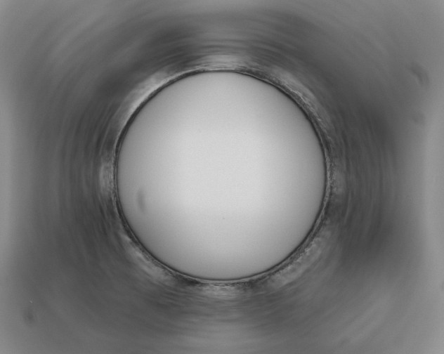 X0000112761473200909101520