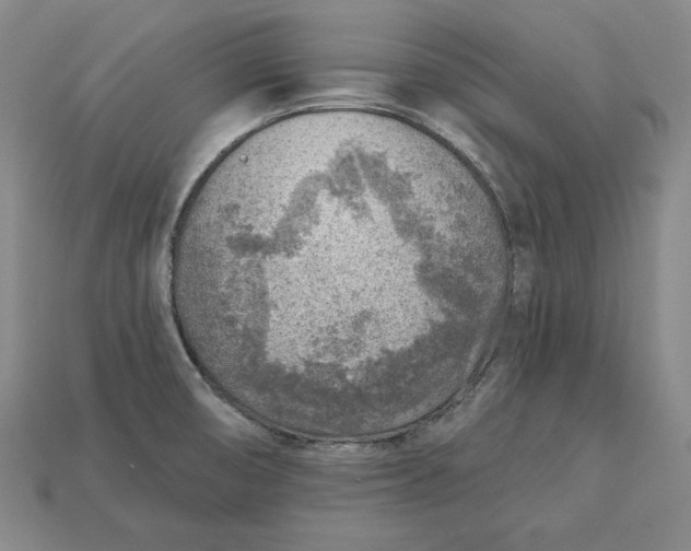 X0000112761474200909101520