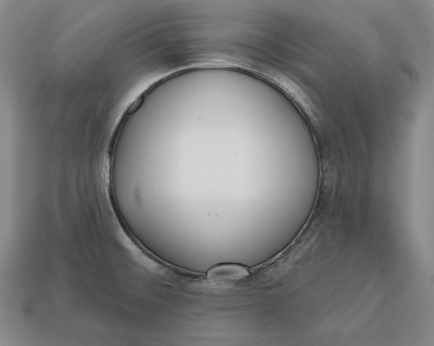 X0000112761476200909101520