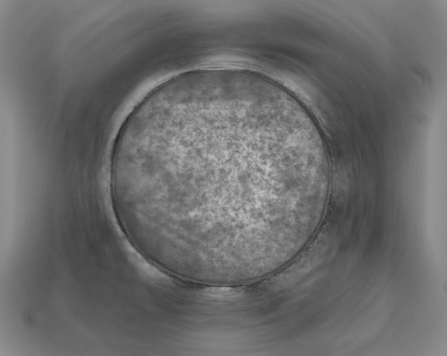 X0000112761478200909101520