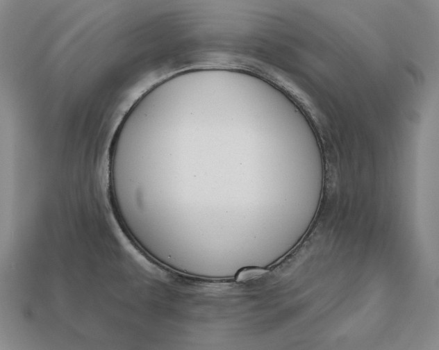 X0000112761479200909101520