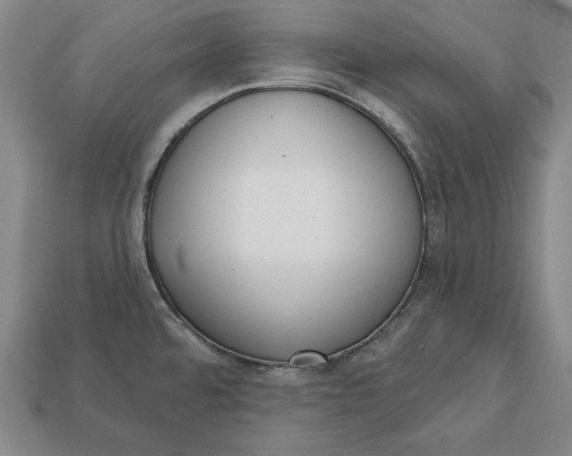 X0000112761480200909101520