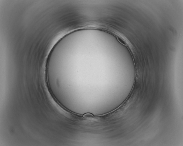 X0000112761483200909101520