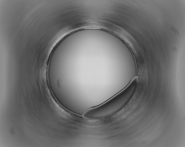 X0000112761484200909101520