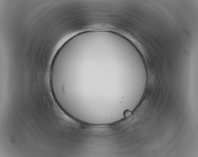 X0000112761486200909101520