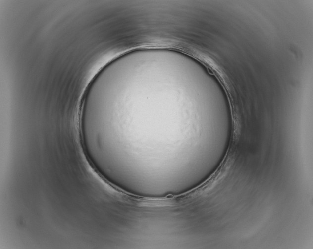 X0000112761487200909101520
