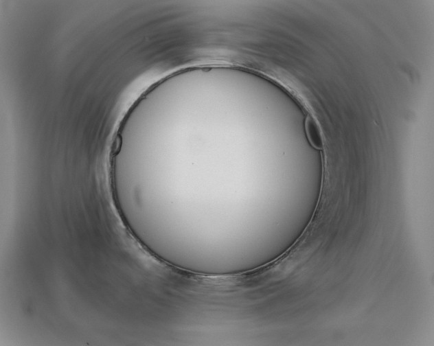 X0000112761488200909101520