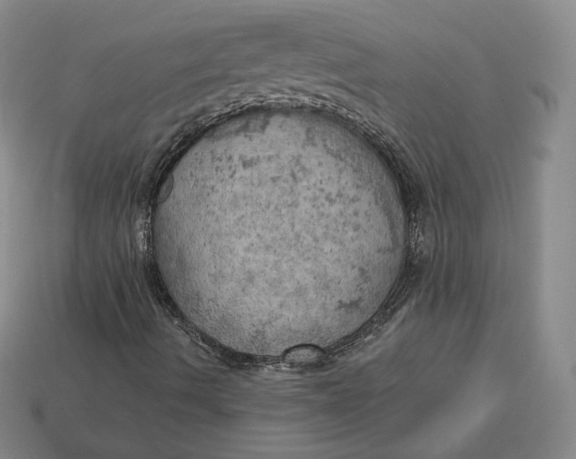 X0000112761490200909101519