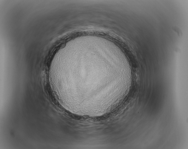 X0000112761493200909101519