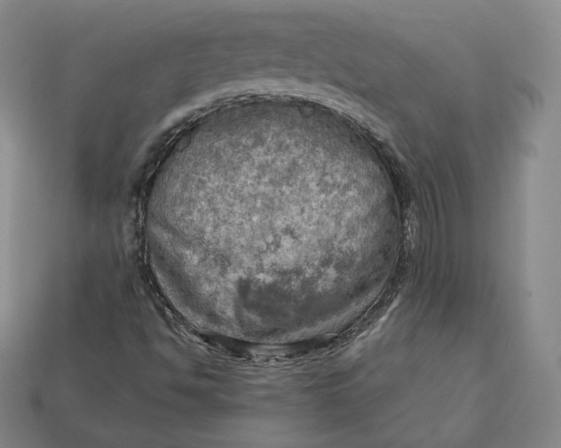 X0000112761494200909101519