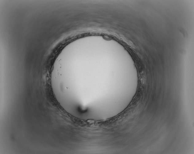 X0000112761495200909101519